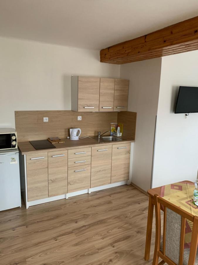 Privat Zelezny Brod公寓 外观 照片