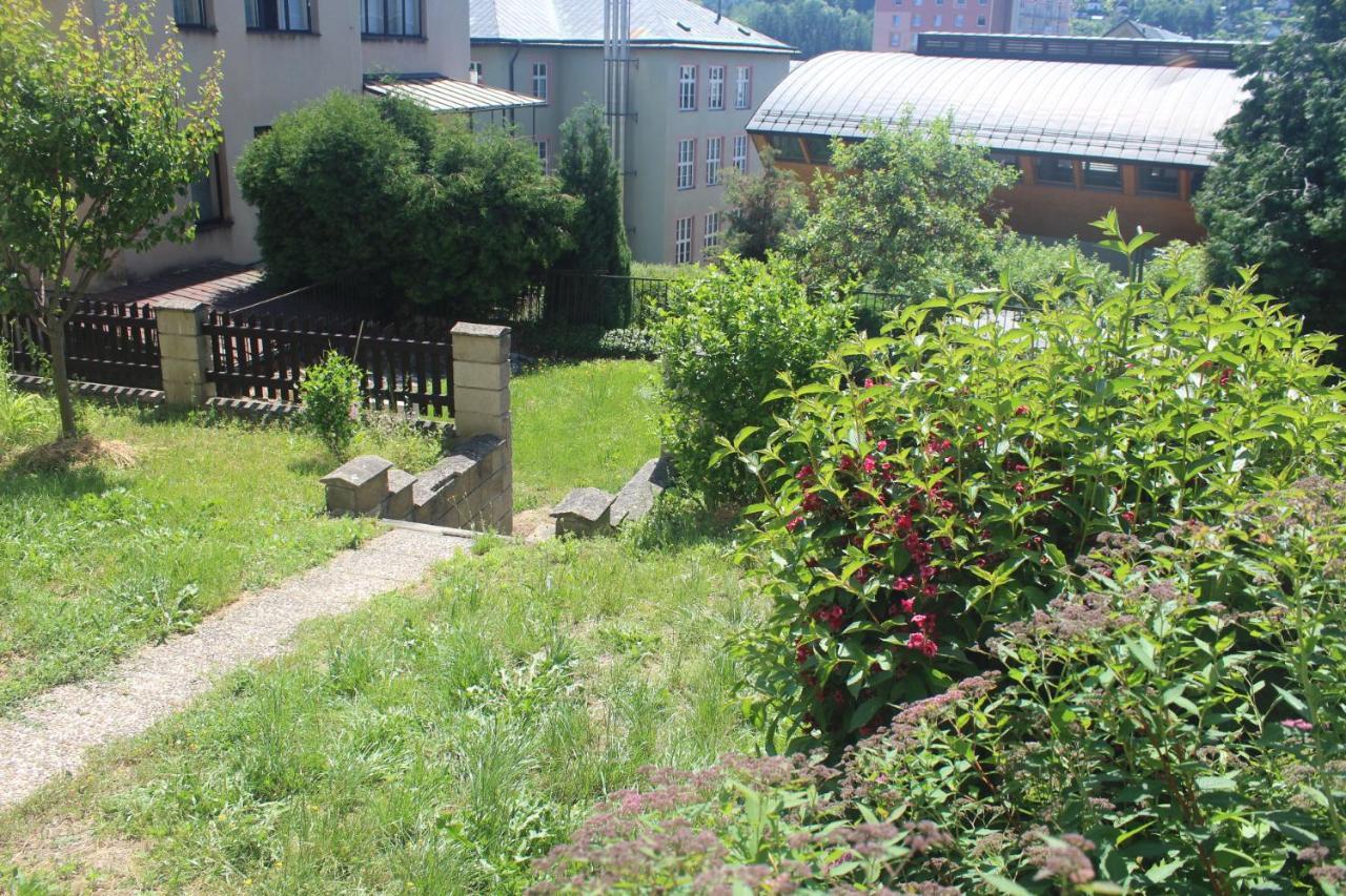 Privat Zelezny Brod公寓 外观 照片